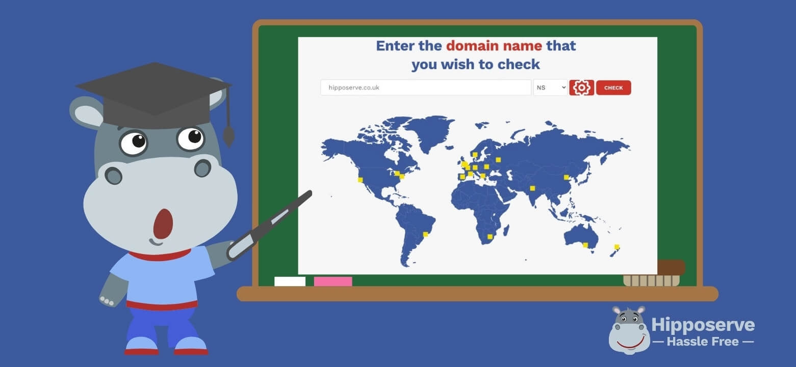 Use the Hipposerve DNS Propagation Tool