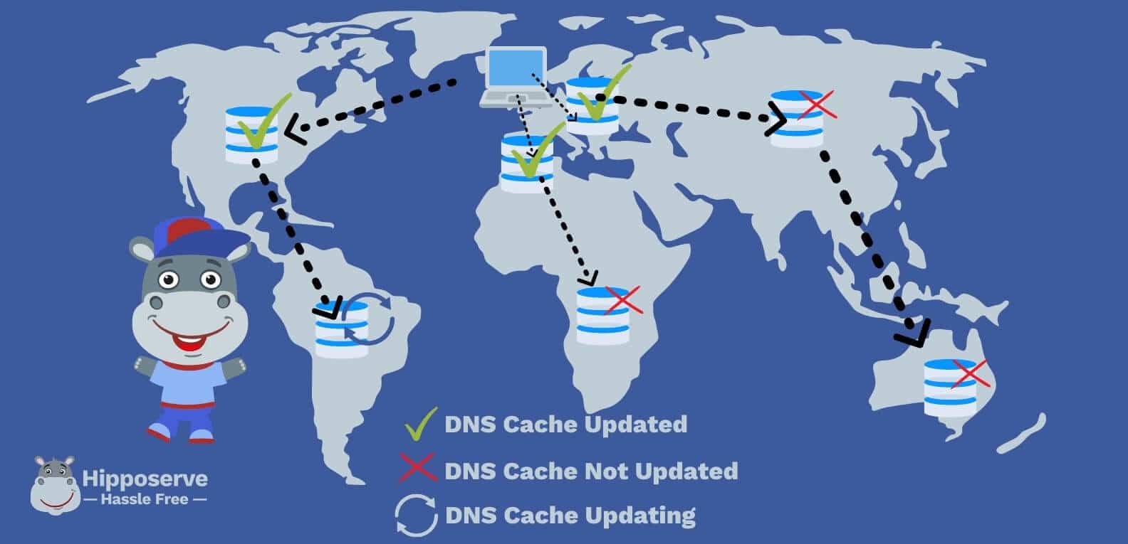 Hipposerve DNS Propagation Map with a Key