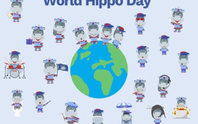 Celebrating World Hippo Day: A Tribute to the Gentle Giants